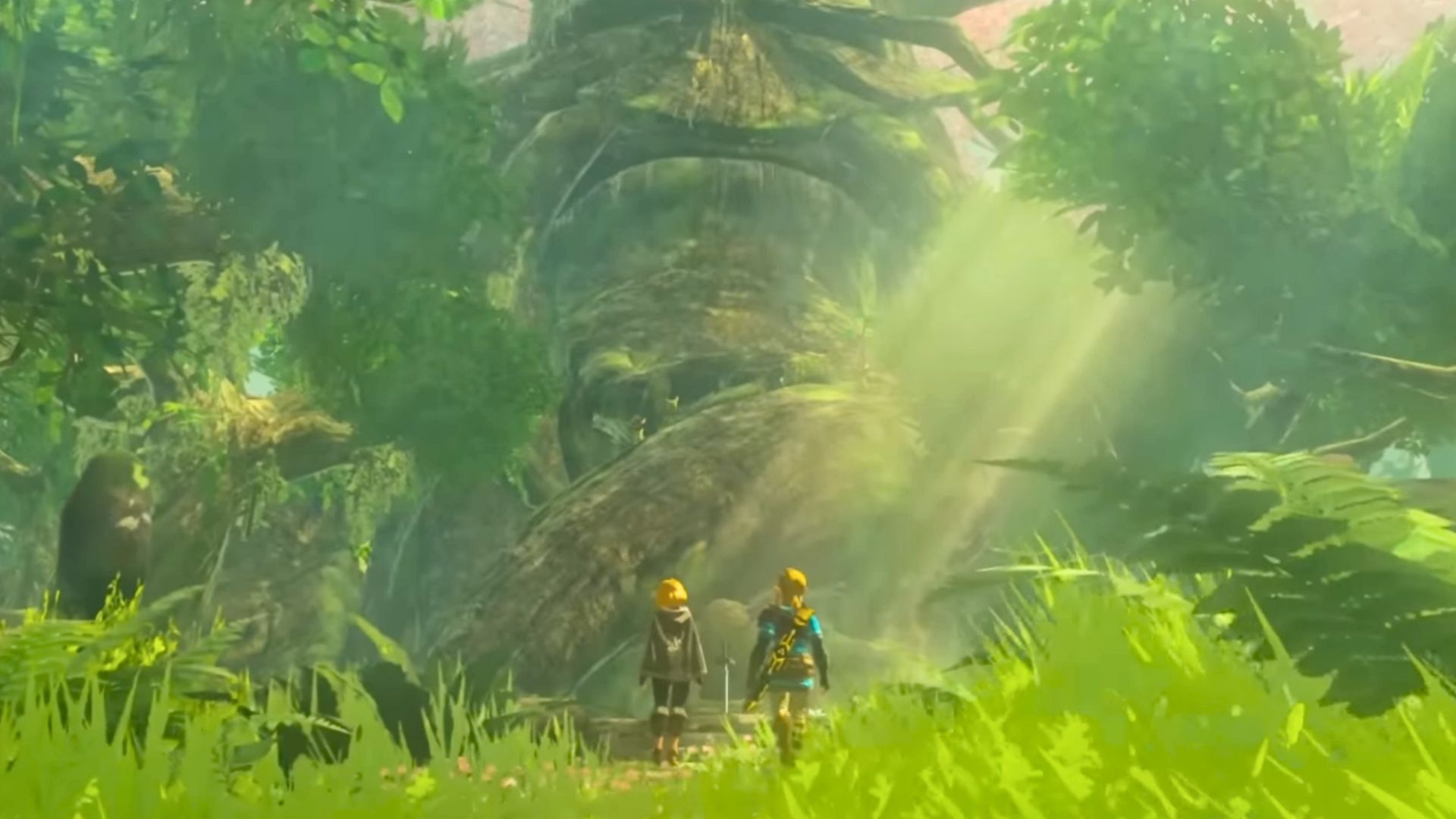 Link y Zelda frente al Árbol Deku en Zelda TOTK