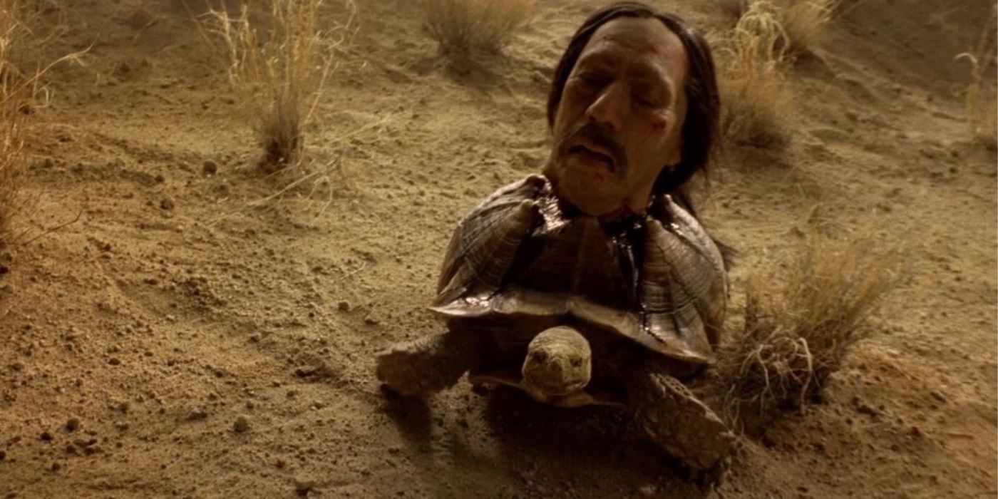 La cabeza de Tortuga se encuentra en una tortuga en Breaking Bad