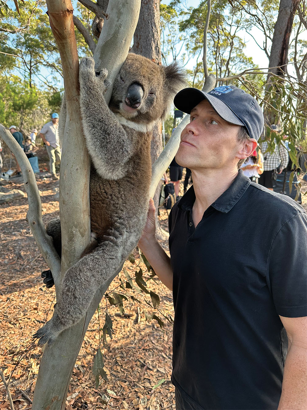 Foto obligatoria del koala, dice Gluck.