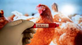 Un estado de la UE informa un brote de gripe aviar 