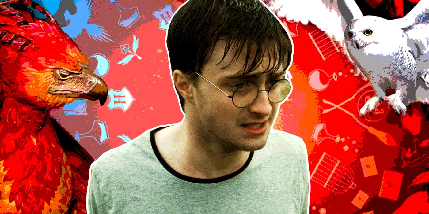 Una imagen personalizada de Daniel Radcliffe de Harry Potter con Fawkes y Hedwig
