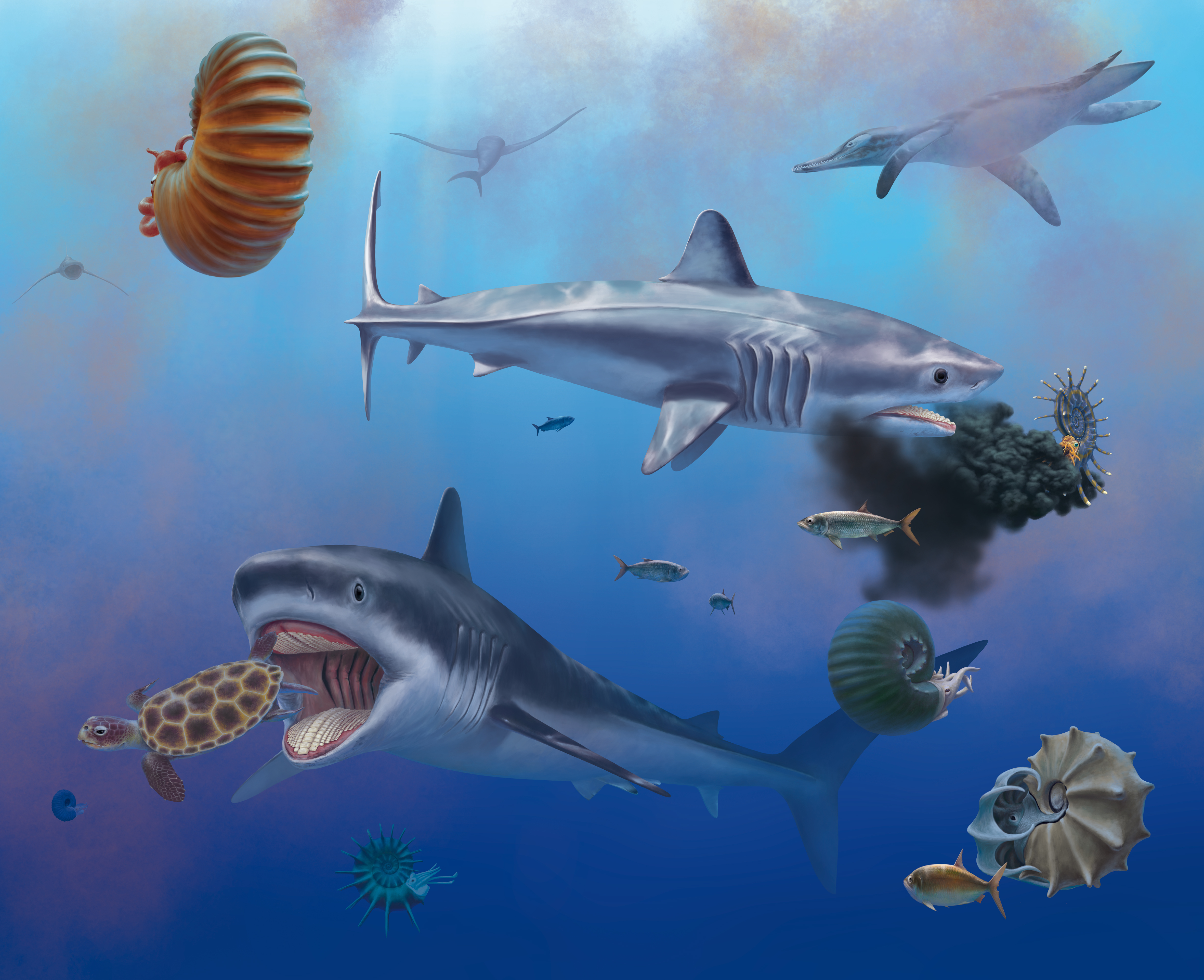 Ilustración artística de dos tiburones bajo el agua dándose un festín con una amonita y una tortuga marina.